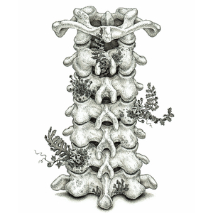 天生的炮架子女人图片高清
